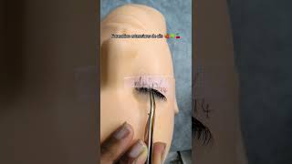 Formation extensions de cils 🍒☘️🍓formationextensiondecils extensiondecils youtubeshorts cils [upl. by Milla]