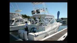 Luhrs Sportfish 31 Hardtop amp Open Tower powered by Volvo IPS xvidavi [upl. by Joana]