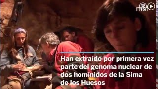 Se extrae el ADN humano más antiguo en Atapuerca [upl. by Ahtar]