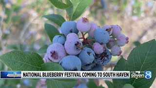 National Blueberry Festival coming to South Haven [upl. by Aramoj]