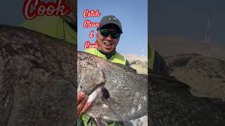 103kg Croaker Fish Catch Clean amp Cook  Fishing in Oman fishing shorts [upl. by Nichy]