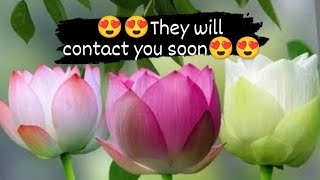 😍😍They will contact you soon😍 😍tarot tamil healing astrology tarotreading lovestory soulmate [upl. by Iadam]