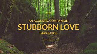 Larkin Poe  Stubborn Love Acoustic Official Visualizer [upl. by Aprilette]