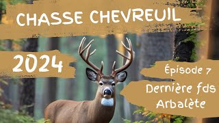 Chasse chevreuil 2024 Dernière FDS Arbalète Ep7 [upl. by Niamert]