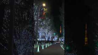 Tokyo Night Drive  roppongi keyakizaka illumination [upl. by Anwahsit720]