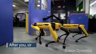 Boston Dynamics Spot Mini Update  Teamwork [upl. by Etnovaj]