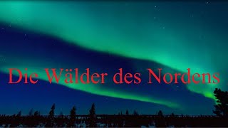 Die Wälder des Nordens  Doku [upl. by Anum244]