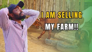 SEMANHYIA FARM CLOSES DOWN PERMANENTLY AFTER BEING ROBBED Farming In Africa [upl. by Yrelle323]