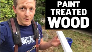 Paint Treated WoodTips and Tricks [upl. by Naj]