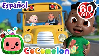 Las Ruedas del Autobus  En la escuela  CoComelon  Juega con Cody  Caricaturas en Español [upl. by Neraj271]