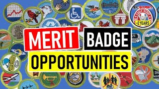 Finding MB Opportunities  How To Begin Merit Badges [upl. by Licec]