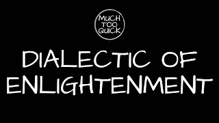 MuchTooQuick Overview Episode 24 Dialectic of Enlightenment [upl. by Jaquenette986]