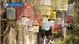 Dalat Palace Heritage Hotel  Traveloka [upl. by Orecul]