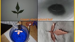 How to Make an Electroplated leaf medalion  DIY Orbit1 replication [upl. by Airretal]