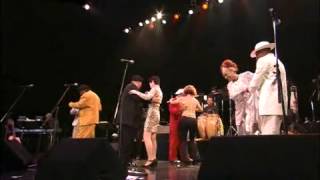 AfroCuban All Stars Live in Japan [upl. by Wrand289]