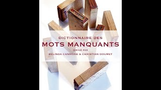 Belinda Cannone autour duquot Dictionnaire des mots manquantsquot [upl. by Cralg]