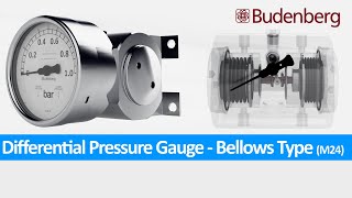 Differential Pressure Gauge  Bellows Type Model M24 [upl. by Eimarej]