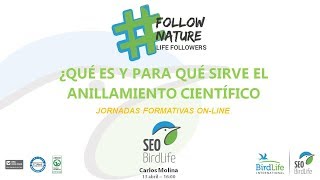 LIFE Followers  4º CURSO Live El Anillamiento científico ¿Qué es y para qué sirve [upl. by Adirem]