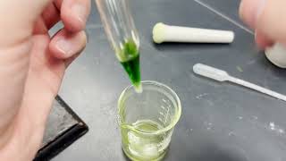 Spinach Column Chromatography [upl. by Nogam]