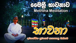 Bawana Maithri Bawana මෛත‍්‍රී භාවනාව  Gampaha Mahanama Thero [upl. by Novar]