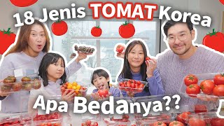 BORONG DAN COBA SEMUA JENIS TOMAT KOREA 🍅 [upl. by Anoek]