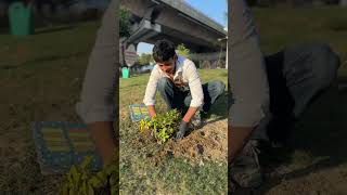 Planting 1 Lakh Trees 🌳 shortsfeed socialwork viral trending [upl. by Lynnette950]