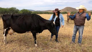 CÁSESE CON UN RANCHERO Y Nunca TENDRÁ CARENCIAS [upl. by Cummins]