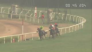 Mock Race 4th February 2024 at the Royal Western India Turf Club [upl. by Eicyal]