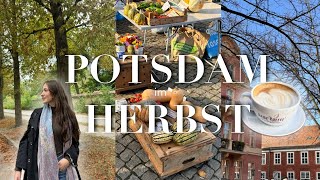 HERBSTWOCHENENDE in POTSDAM ☕️🧦  Wochenmarkt Zimtschnecken amp cozy vibes  vlog [upl. by Reisman64]