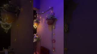 Ali diwali Happy diwali diwalifestival festival youtubeshorts viralvideo happydiwali [upl. by Nidya]