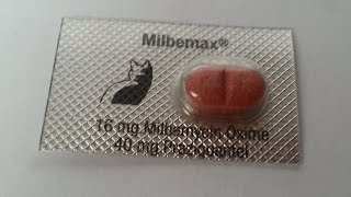 Milbemax® milbemycin oxime praziquantel [upl. by Ahsitam]