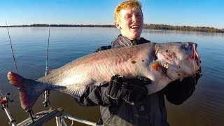 How to catch catfish in a river  fishing for big catfish bait rods reels rigs [upl. by Yorztif509]