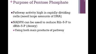 098Pentose Phosphate Pathway [upl. by Ashman]