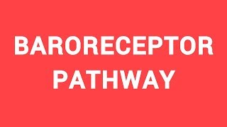 BAROREFLEX PATHWAY  Reflex Circuit [upl. by Laehcim]