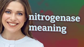 Nitrogenase  meaning of Nitrogenase [upl. by Socrates]