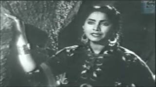 Naheed Akhtar  Teri Ulfat Mein Sanam  Sarfroosh [upl. by Antony548]