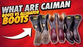 What Are Caiman Boots Vs Alligator Boots [upl. by Jessee895]