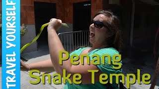 Snake Temple Penang [upl. by Jackie749]