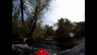 Kayaking Stanislaus River Knights Ferry to Valley Oak [upl. by Rye]