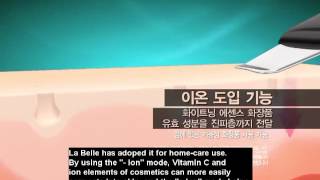 Labelle Ultrasonic Skin scrubber description [upl. by Ayahsal]