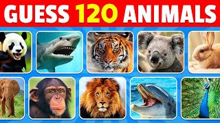 Guess 120 Animals in 3 Seconds  Easy Medium Hard Impossible [upl. by Black]