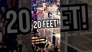 Why Did The Undertaker Throw Rikishi Off The Cell wwe [upl. by Twitt283]