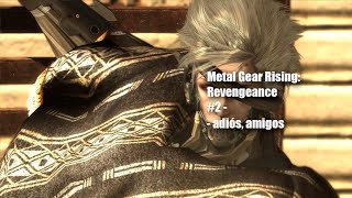 Metal Gear Rising Revengeance  adiós amigos  2 [upl. by Tita]