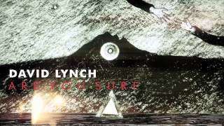 David Lynch Are You Sure OFFICIAL AUDIO [upl. by Adok105]