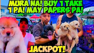 PABABAAN NG PRESYO MGA SELLERS SA BOCAUE ME PAPERS NA NEGO PA [upl. by Debo702]