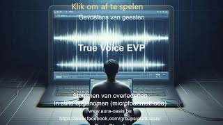 EVP Uitdrukkingen en gevoelens van geesten [upl. by Ashjian]