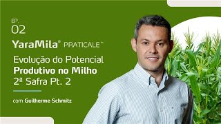 A evolução do pontencial produtivo no Milho 2ª Safra Pt 2 [upl. by Wolfy]