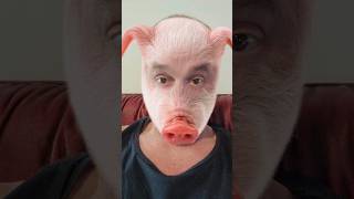 PIGFACE PsychoPig PIGFACE pigface PIGFACE999 psycho pig piggy piggymemes pigs funny shorts [upl. by Seftton]