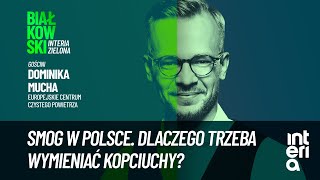 Czy wymiana quotkopicuchaquot to dobra zmiana  Białkowski Interia Zielona [upl. by Adiazteb466]