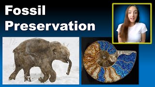 Fossil Preservation Modes and Major Invertebrate Groups  GEO GIRL [upl. by Yebot783]